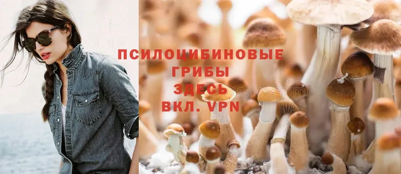 Галлюциногенные грибы MAGIC MUSHROOMS  Белая Калитва 